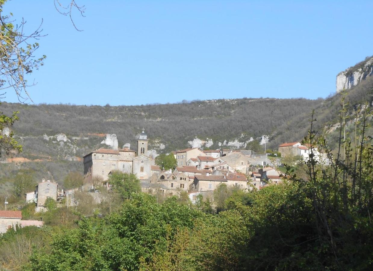 Maison Spacieuse Et Agreable Saint-Georges-de-Luzençon Екстериор снимка
