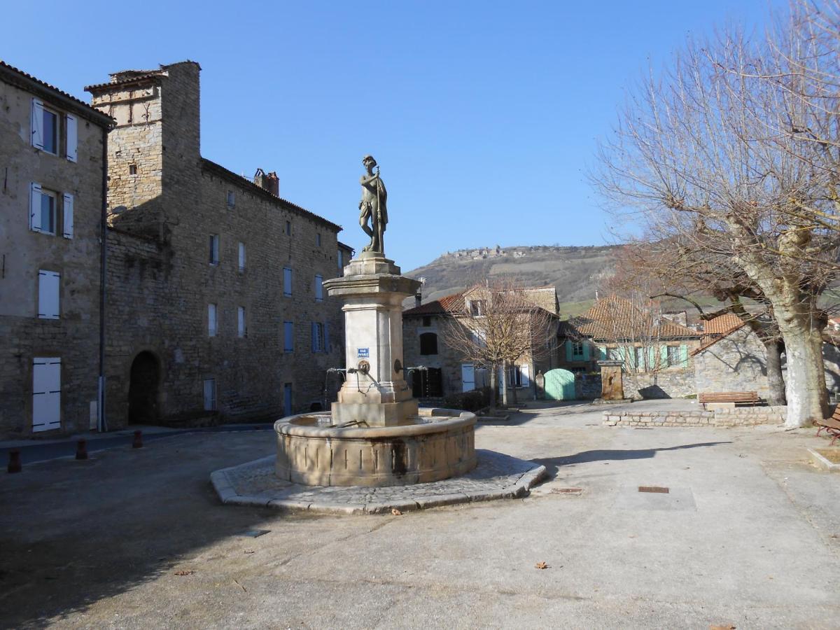 Maison Spacieuse Et Agreable Saint-Georges-de-Luzençon Екстериор снимка